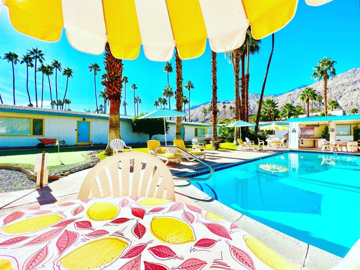 A Place In The Sun Hotel - Adults Only Big Units, 24H Heated Pool & Spa In 1 Acre Park Prime Location, Dog Friendly, Top Midcentury Modern Boutique Hotel Palm Springs Esterno foto