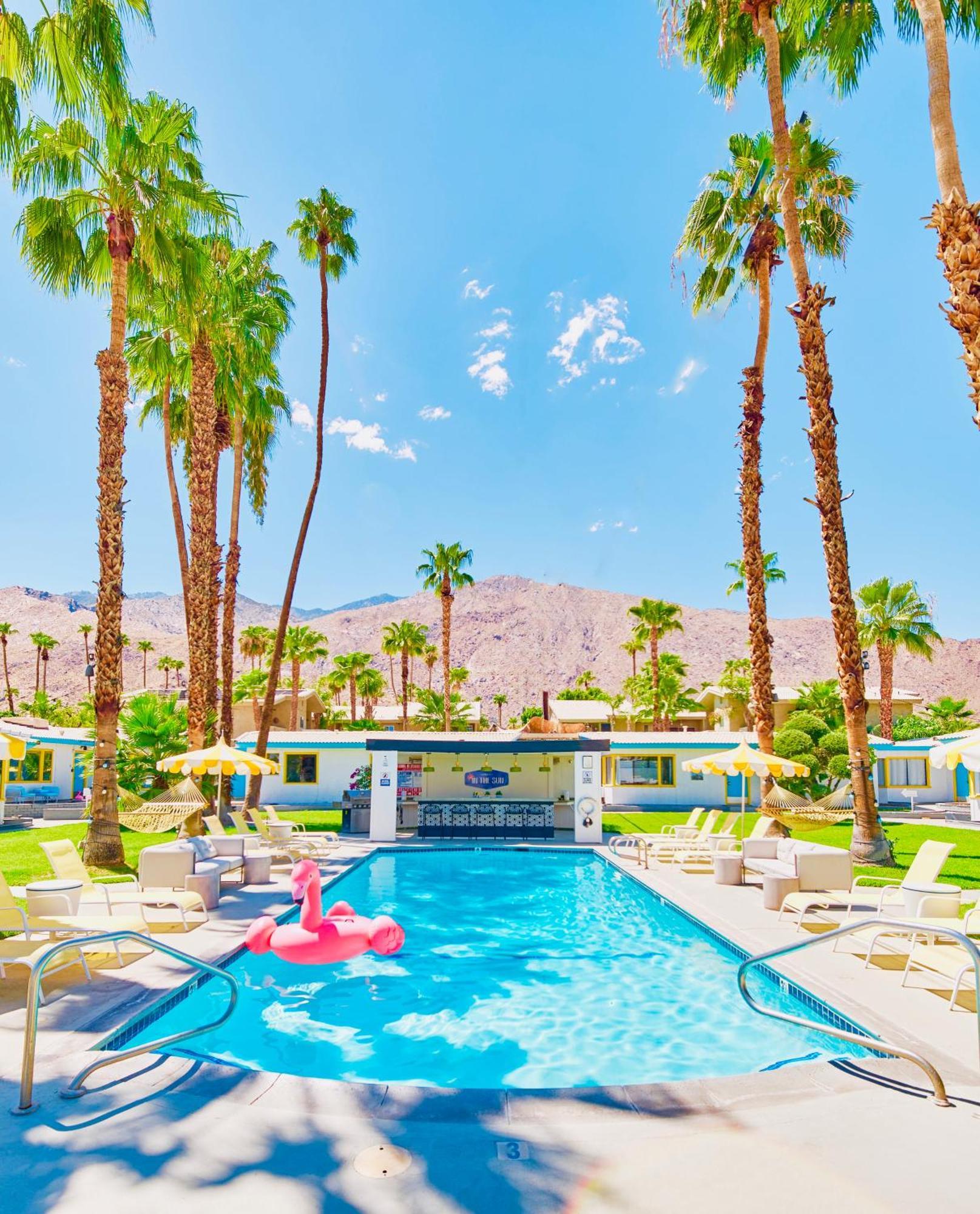 A Place In The Sun Hotel - Adults Only Big Units, 24H Heated Pool & Spa In 1 Acre Park Prime Location, Dog Friendly, Top Midcentury Modern Boutique Hotel Palm Springs Esterno foto